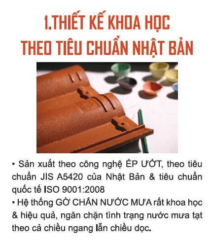 Đặc điểm 1