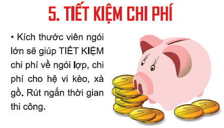 Đặc điểm 5